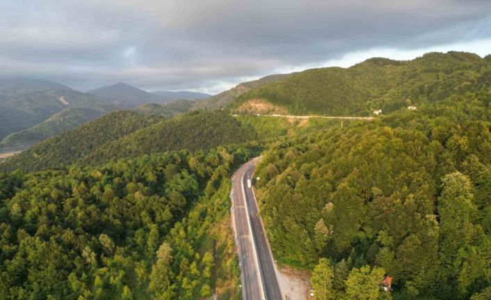 Google’da 3,5 milyon kez aranan Bolu Dağı tartışmasının altından bakın ne çıktı