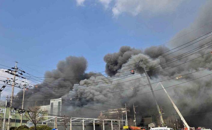 Güney Kore’de fabrikada patlama ve yangın: 14 ölü, 59 yaralı