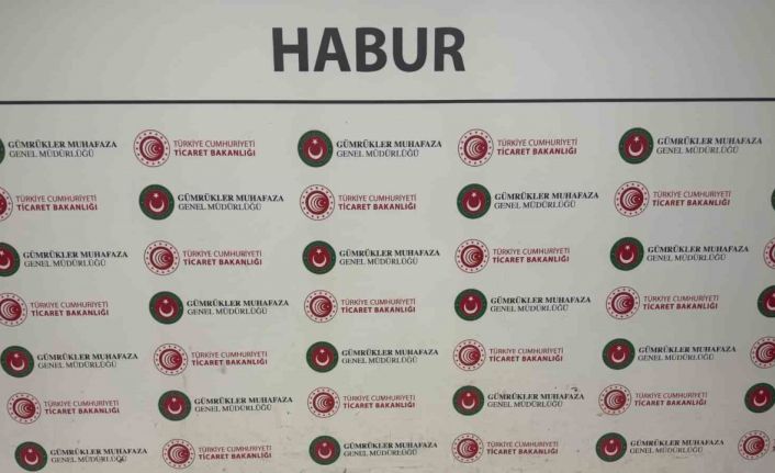 Habur’da tırda yapılan aramada, yaklaşık 14.6 milyon liralık altın ele geçirildi