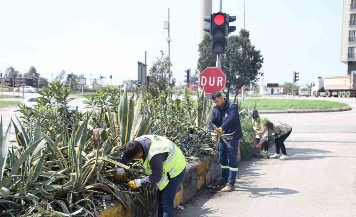 Hatay Büyükşehir Belediyesi bitkide dışa bağımlılığı en aza indirmeyi hedefliyor