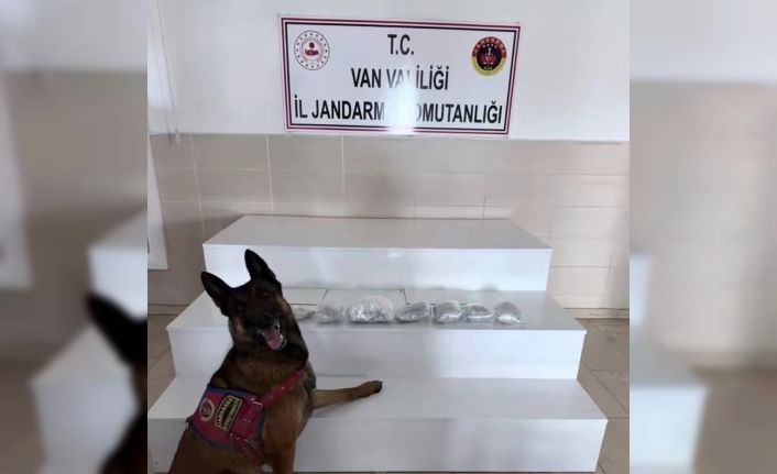 İçişleri Bakanlığı: "Van ve Hakkari’de 320 kilogram uyuşturucu madde ele geçirildi"