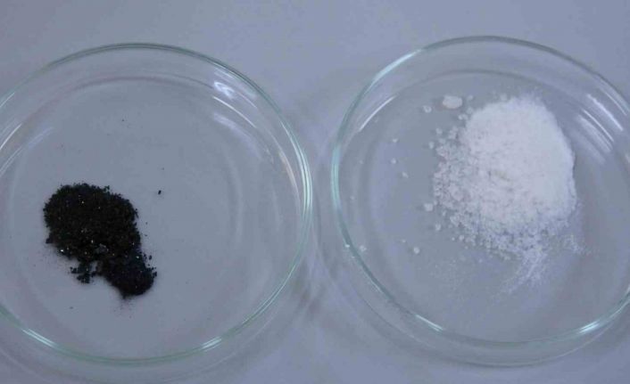 Isparta’da endemik bitkiden doğaya zarar vermeden kanserle mücadeleye umut olacak üretim modeli geliştiriliyor