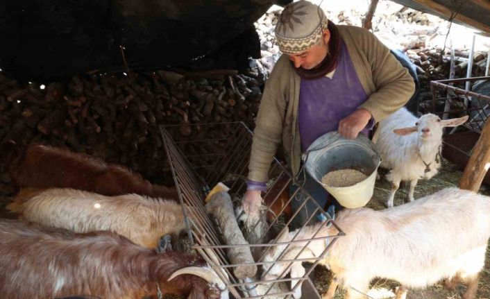 Korkuteli’nde yem ezme ve kırma makinesi üreticiye kolaylık sağlıyor