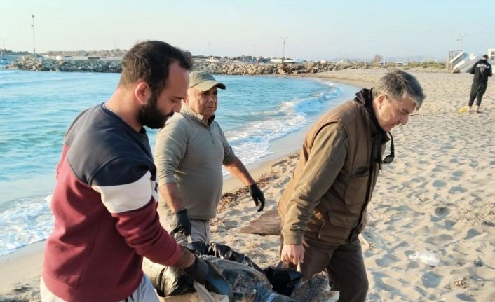 Kuşadası’nda 2 yeşil deniz kaplumbağası ve 1 caretta caretta ölü bulundu