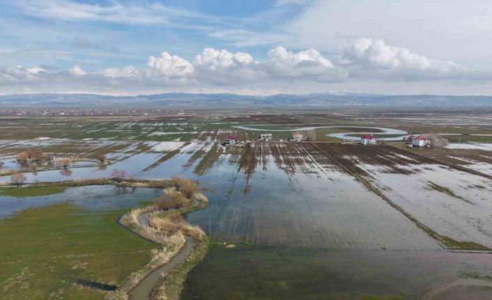 Muş Ovası’nda kar erimesi ve sağanak tarım arazilerini sular altında bıraktı