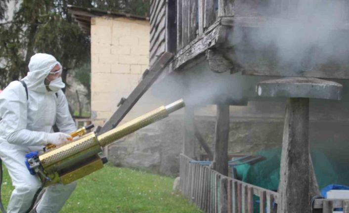 Ordu’da kahverengi kokarca ile kışlak mücadelesi: 330 bin noktadan 190 bini ilaçlandı