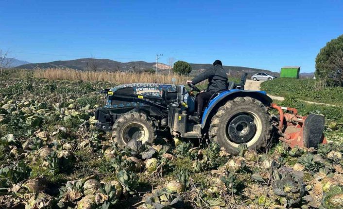 Pazarda 70 lira ama yüzbinlercesi tarlada çürüdü: Üreticiler Tarım Kredi’ye çağrı yaptı