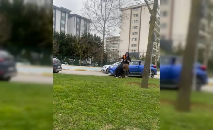 Pendik’te iki sürücü arasında yol kavgası çıktı: Kimseye aldırmadan yerlerde sürükledi