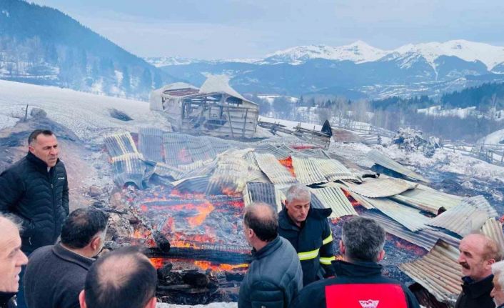 Şavşat’ta yangın: 1 ev, 2 ahır ve 2 ambar kül oldu