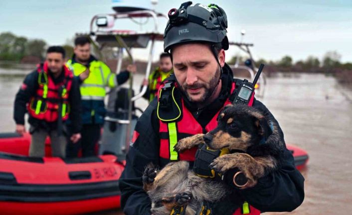 Sular altında kalan bağ evinde mahsur kalan iki köpeği belediye ekipleri kurtardı