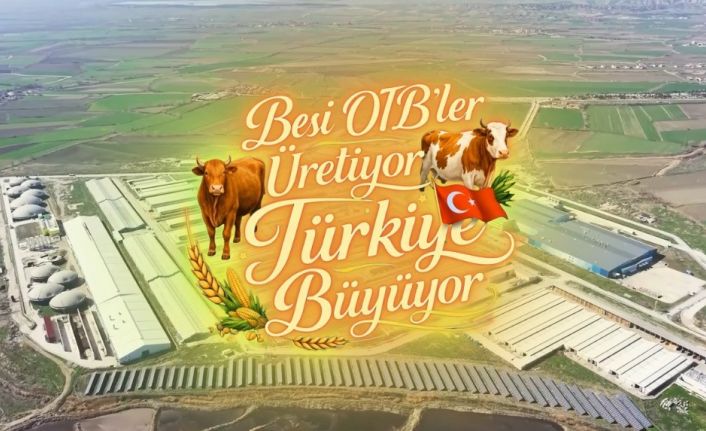Suluova Besi OTB’de 15 bin 650 büyükbaş kapasite, bin 500 kişiye istihdam