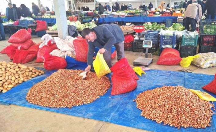 Tohumluk kuru soğanda üretim arttı, fiyat 150 liradan 100 liraya düştü