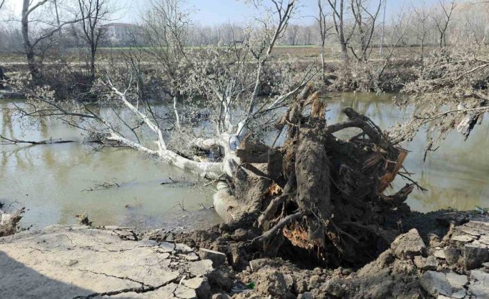 Tunca Nehri kıyısında toprak kayması: 9 yıl sonra gelen taşkınlar zemini etkiledi