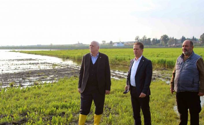 TZOB Genel Başkanı Bayraktar: "Üreticilerimize muhakkak nakdi yardım yapılması gerekiyor"