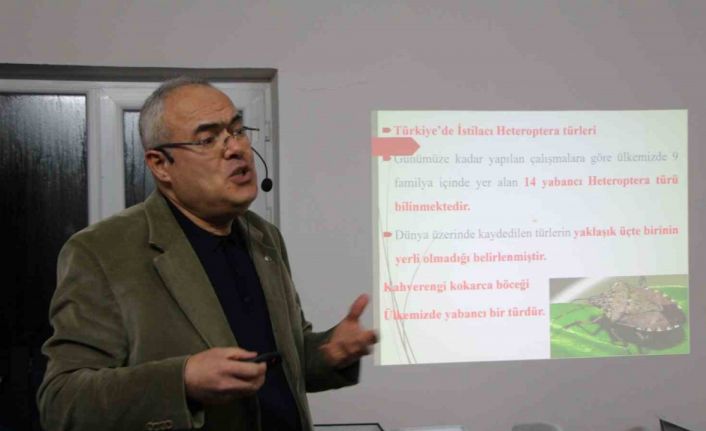 Uzmanı kahverengi kokarca için tarih verdi: "2030 yılından itibaren gündemden çıkmaya başlayacak"