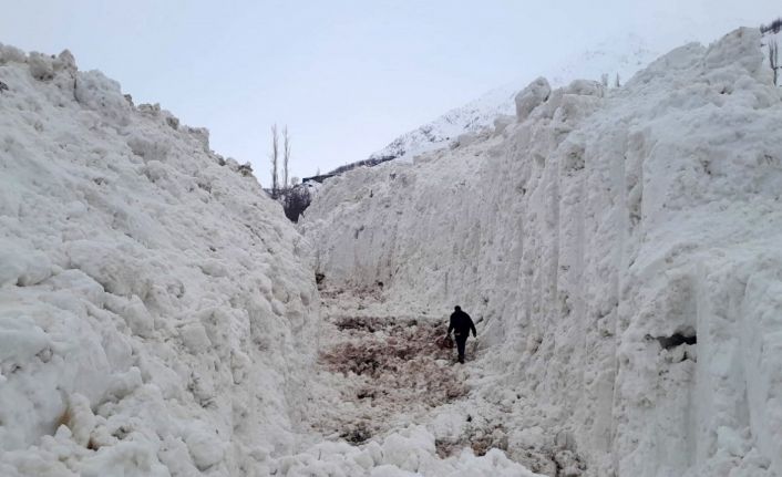 Yüksekova’da çığ meyve bahçelerini yuttu: Köy yolu kar tünelleriyle açılıyor