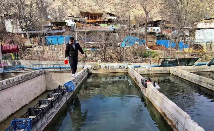 300 bin balık telef oldu; Genç girişimci ayakta kalma mücadelesi veriyor