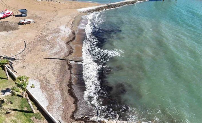 Alanya’da sahildeki siyah tabaka önce  tedirgin etti, gerçek sonradan ortaya çıktı