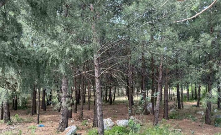 Anne ve oğlunu öldüren katil akrabaların çaldıkları altınları kuyumcuya sattıkları ortaya çıktı