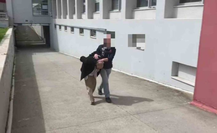 Aracında 825 kilo bonzai yapılacak ham madde yakalattı: "Bana ait değil"