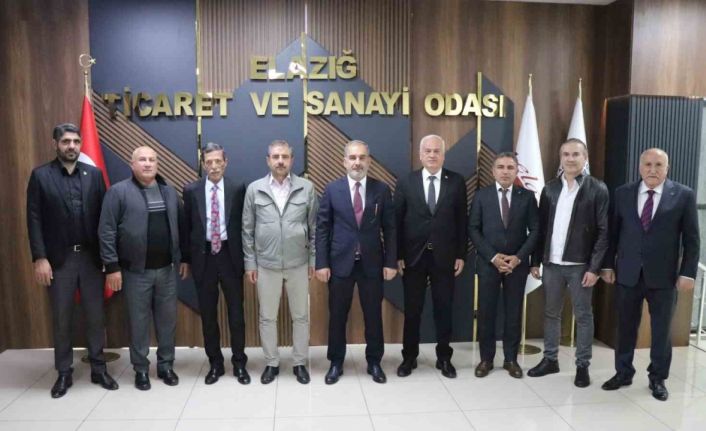 Başkan Alan Karakoçan’ın sorunlarını Vali Hatipoğlu’na iletti