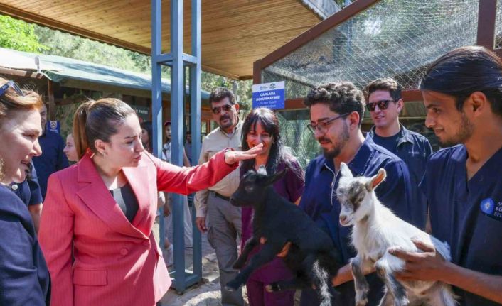 Başkan Vekili Büşra Özdemir: "Veteriner hekimlerin üstlendikleri sorumluluk çok kıymetli"