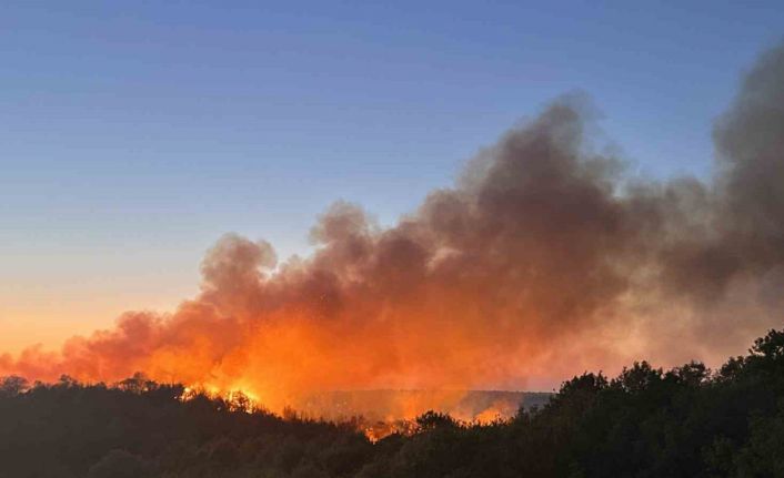 Beykoz’da 3 hektarlık alan küle döndü: Yangına müdahale devam ediyor
