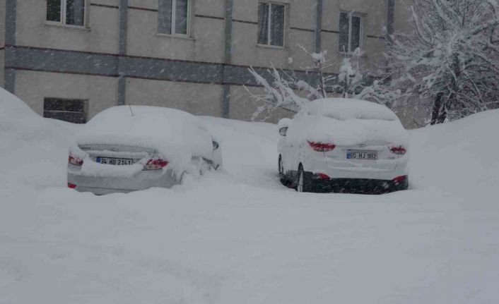 Bitlis’te 111 köy yolu ulaşıma kapandı