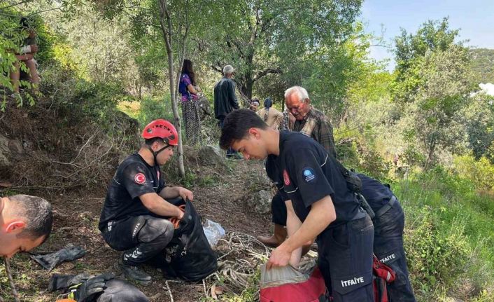 Dağlık alanda otlarken mağaraya düşen inek mağaraya inebilecek kasap bulunamayınca telef oldu