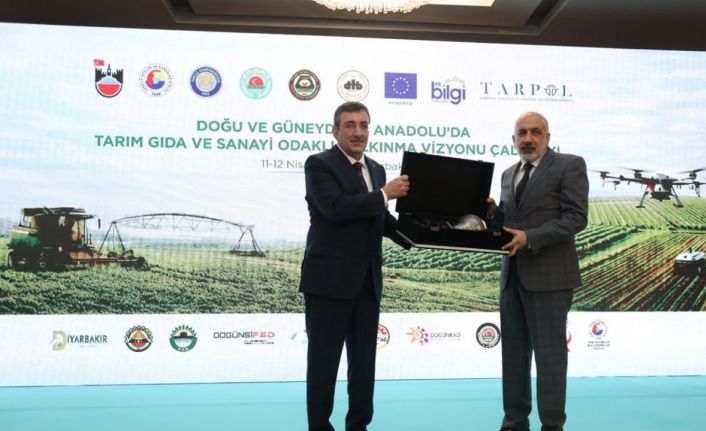 Diyarbakır’da Doğu ve Güneydoğu Anadolu’da Tarım Gıda ve Sanayi Odaklı Kalkınma Vizyonu Çalıştayı düzenlendi