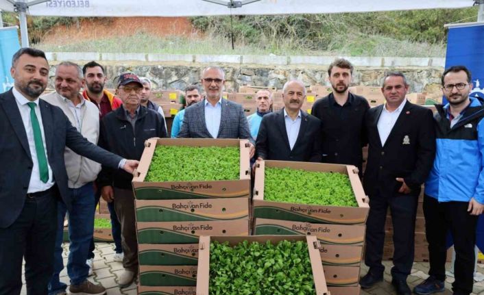 İşlenmeyen araziler üretime dönüyor: Çiftçilere yüzde 75 hibeli fide desteği