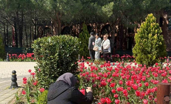 İstanbul’da lale zamanı başladı, Pendik Korusu’nda renk cümbüşü yaşandı
