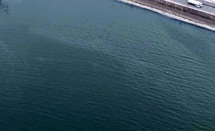 İzmir Körfezi’nde kirlilik alarmı: Aynı tehdit 11. kez görüldü