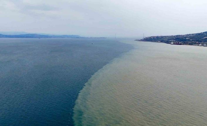 İzmit Körfezi iki renk oldu: Derenin taşıdığı çamur denizin rengini değiştirdi