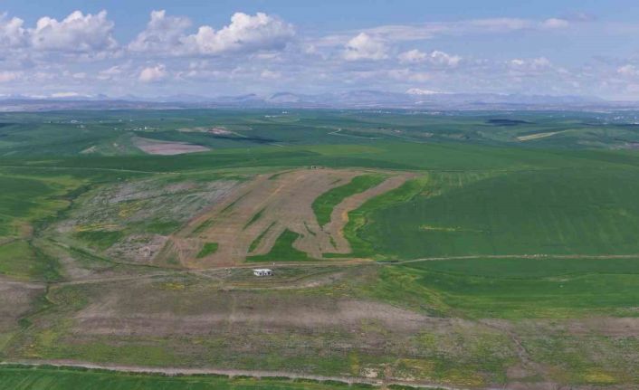 Jandarma eşliğinde ektiği 250 dönüm tarla iddiaya göre akrabaları tarafından ilaçlanarak kurutuldu