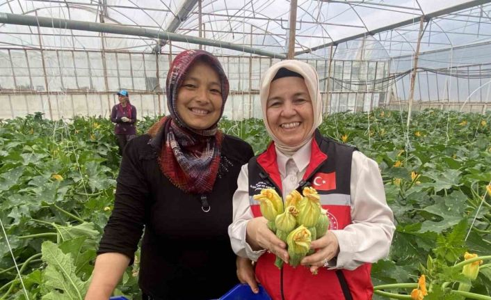 Kadın çiftçi hem üretiyor hem ihraç ediyor hem de pazarda satıyor