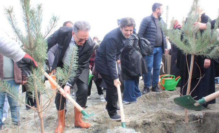 "Kadınlarla El Ele Bir Fidan Bin Nefes" etkinliğinde fidanlar toprakla buluştu