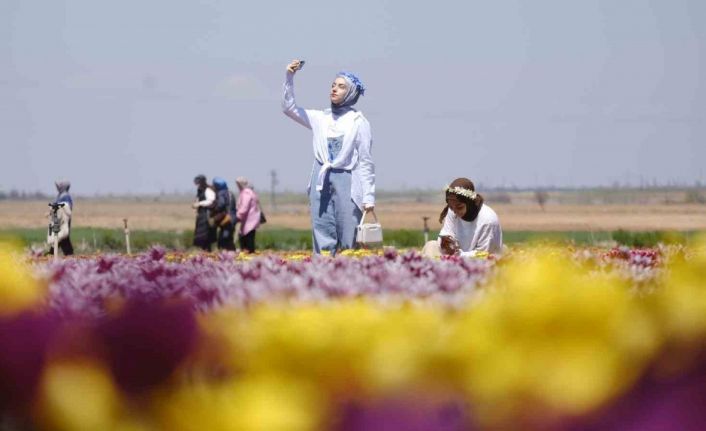 Karaman’da lale tarlasına ziyaretçi akını: 2 günde 30 bin kişi gezdi