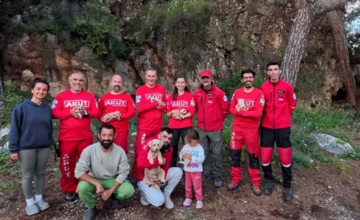 Kaya içerisindeki yarığa düşen 6 yavru köpek için film gibi kurtarma operasyonu