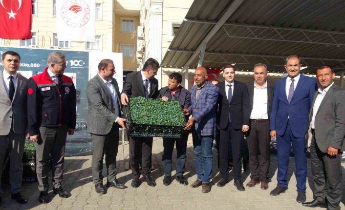 Kilis’te 320 çiftçiye üzüm şalı, 250 çiftçiye 400 bin fide desteği
