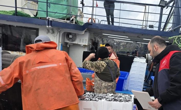 Kırklareli’nde hamsi avcılığına sıkı denetim: 15 milyon 270 bin 699 kilogram hamsi karaya çıkarıldı