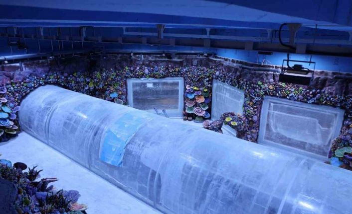 Kocaeli’de su altında dünya turu başlıyor: 30 farklı akvaryumla eşsiz gezi