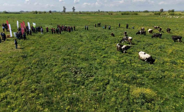 Kozan’da ıslah edilen mera alanı dualarla açıldı, sürüler alanda otlamaya başladı