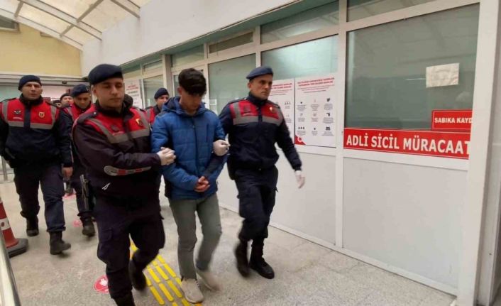 Kulübedeki baltalı ve kazmalı cinayette iki kuzene toplam 30 yıl hapis cezası