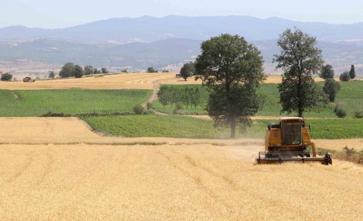 Samsun’da tarım, hayvancılık ve kırsal kalkınmaya 3 milyar TL üzerinde destek