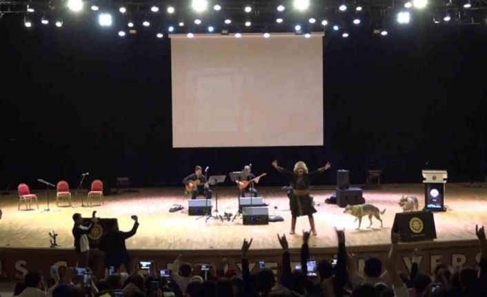 Sivas’ta Nevruz kutlamalarında renkli görüntüler: Sahneye kurtlar çıktı, şahin havada uçtu