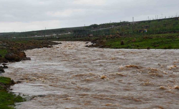 Siverek’te sağanak sonrası derede mahsur kalan çoban ve koyun sürüsü kurtarıldı