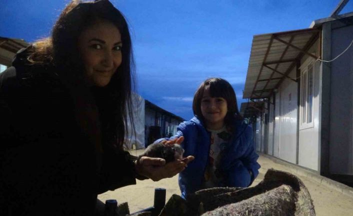 Su kanalında doğum yapan kedi ve 3 yavrusunun yeni yuvası depremzede ailenin konteyneri oldu