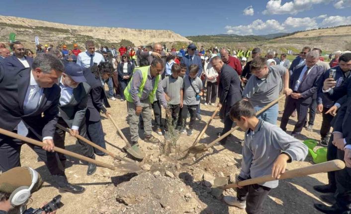 Taşınan her zeytin ağacına karşılık fidan: Milas’ta 4 bin zeytin toprakla buluştu