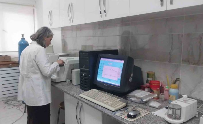 Türk profesörlerin yürüttüğü Sodyum-iyon batarya projesinde laboratuvar çalışmaları tamamlandı